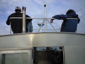 24383_376048174851_4648308_n