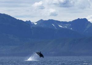 521617_10152100638914852_1036290620_n