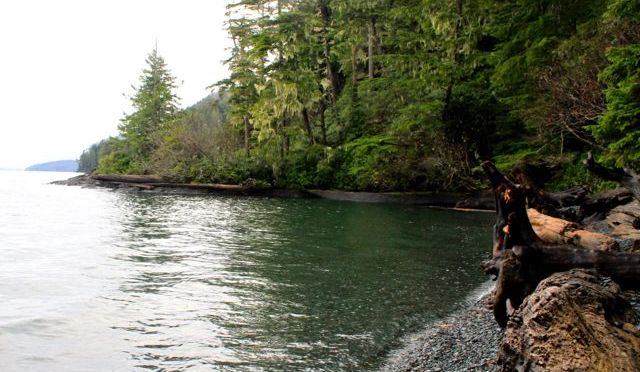 In the Holy of Holies