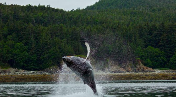 A Deathbed Lesson in Living