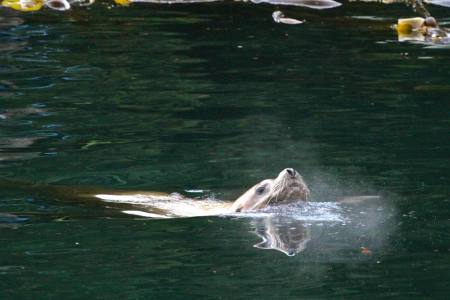 10659202_10153342628774852_4448842526100652252_n