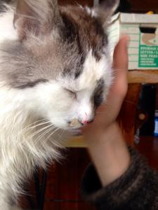 11081015_10155300238395858_6083581184589343527_n