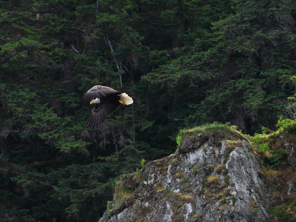 10540_10152009960619852_192033272_n