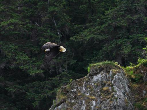 10540_10152009960619852_192033272_n