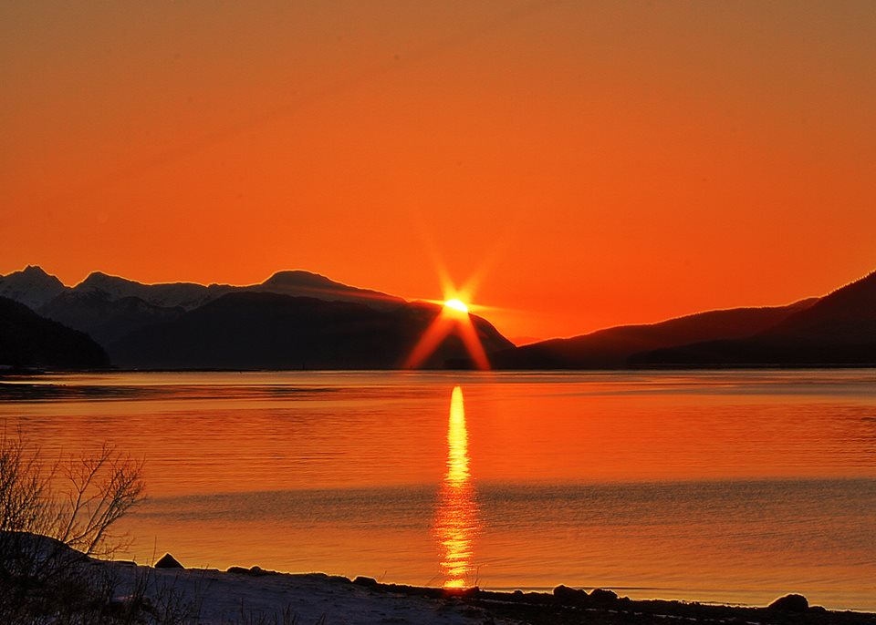 1507689_10152549265769852_632024599_n