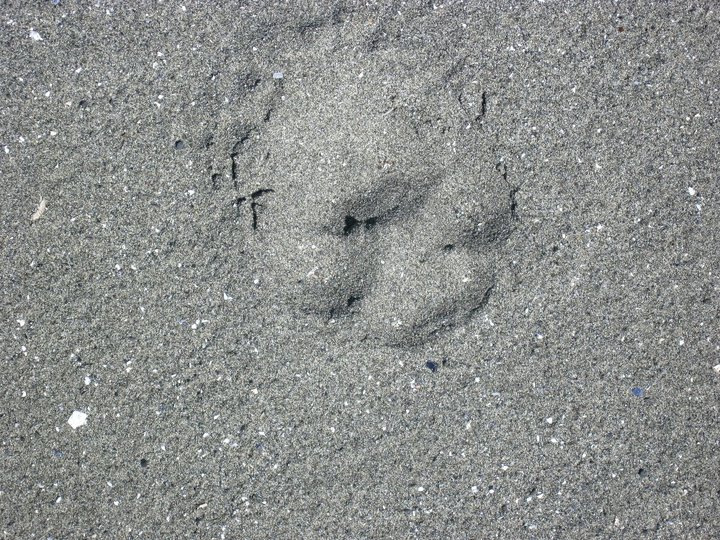 37235_467271534851_7897543_n