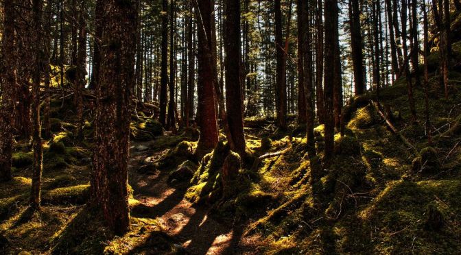 These are the Places You Will Find me Hiding