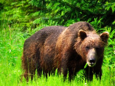 304523_10151351163614852_290551_n