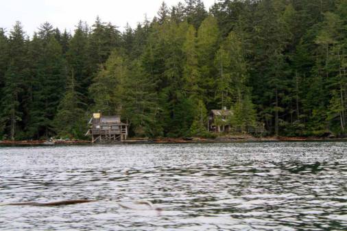 10857837_10153488489199852_5980215313637848356_n