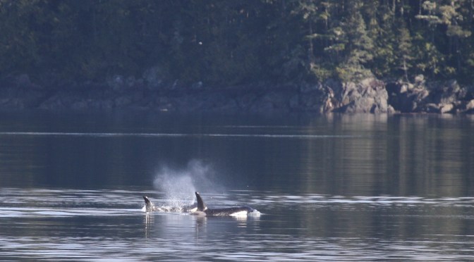 With a Single Breath