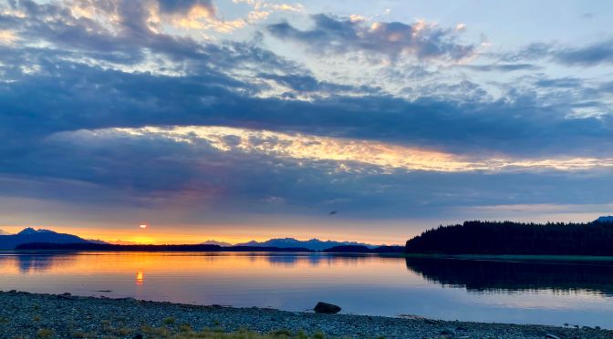 This Must Be My Exit